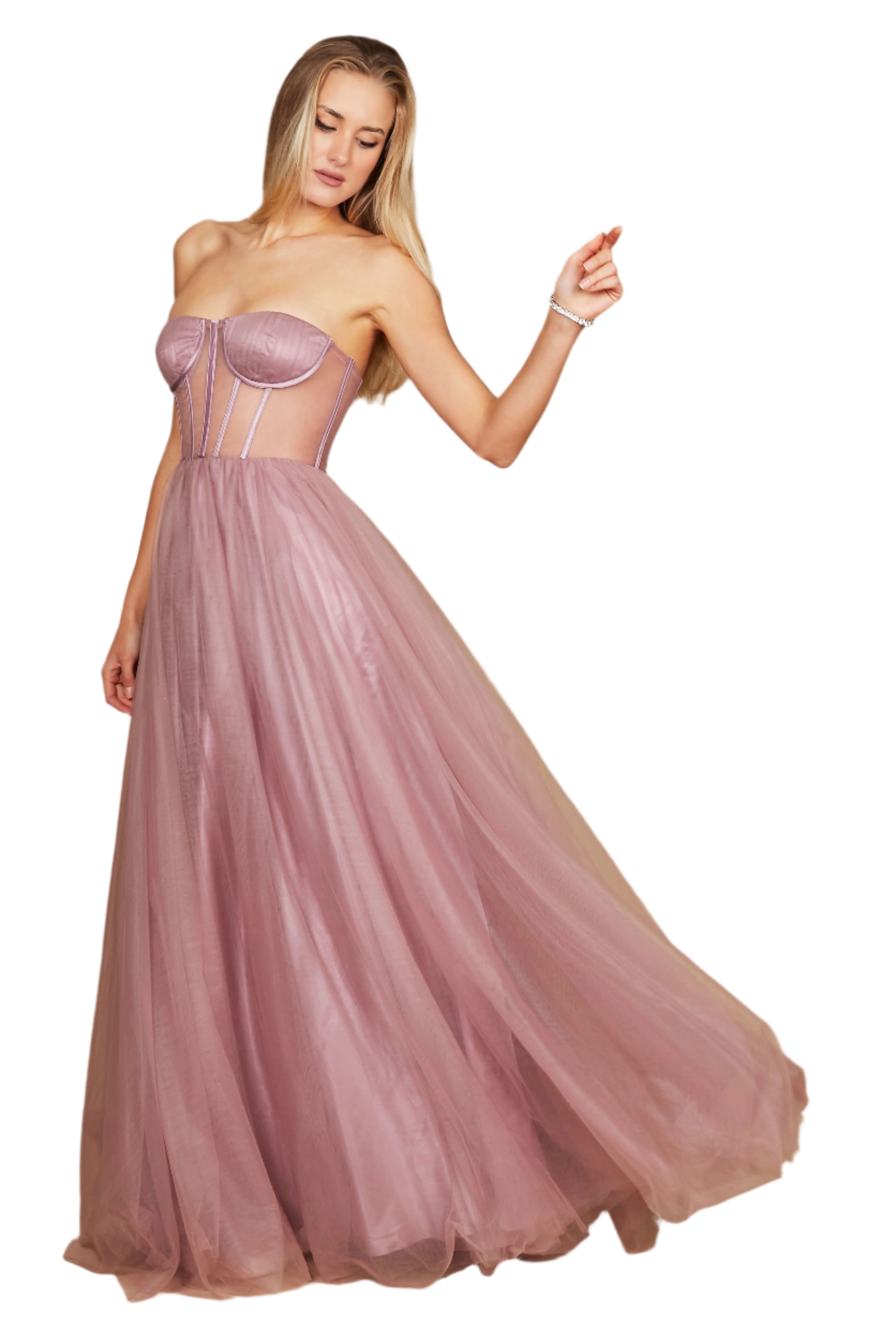 Dylan and Davids Corset-Style Prom Party Formal Ball Gown Dress
