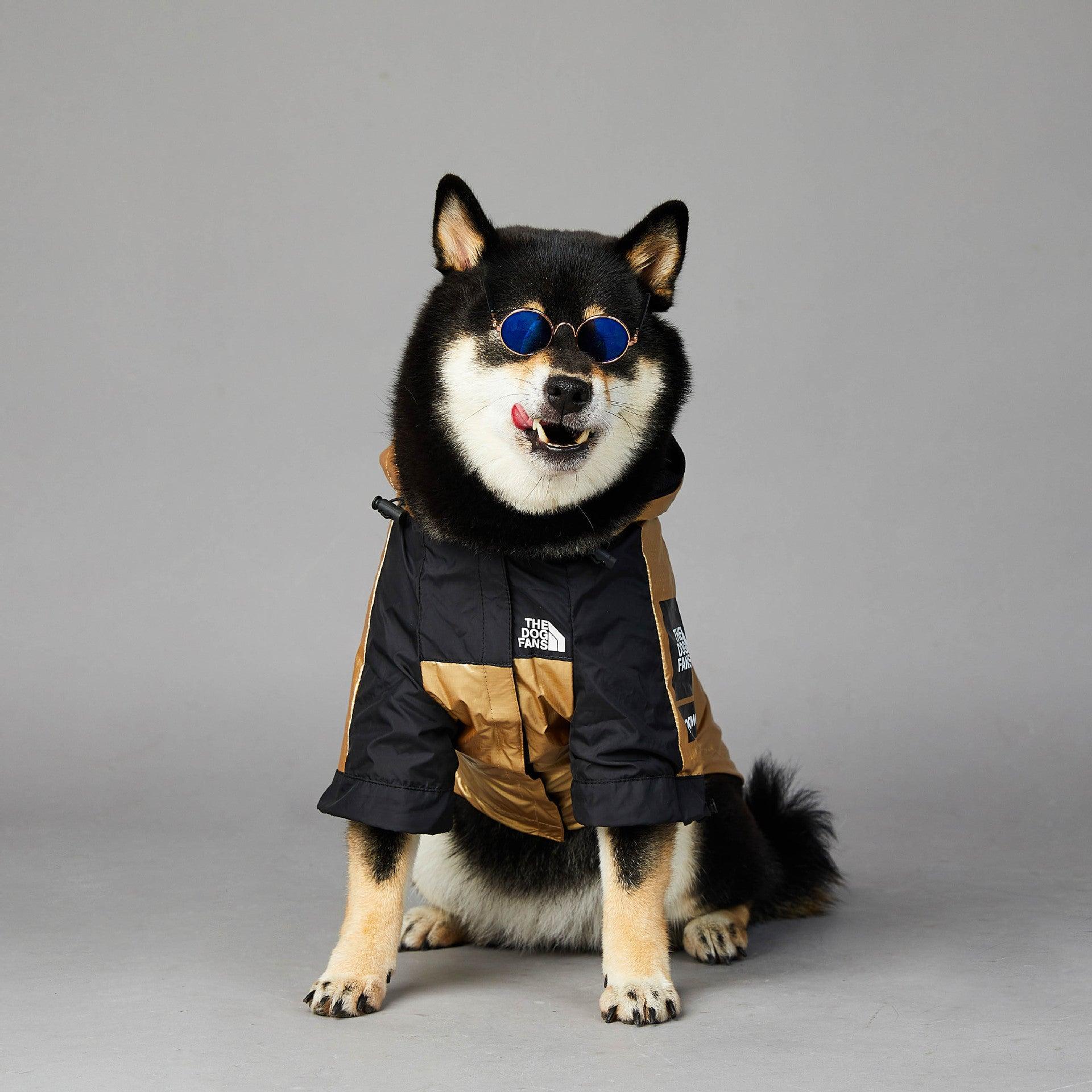 Golden Dog Raincoat - Stylish And Waterproof Pet Jacket